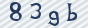 secimg