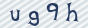 secimg