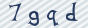 secimg